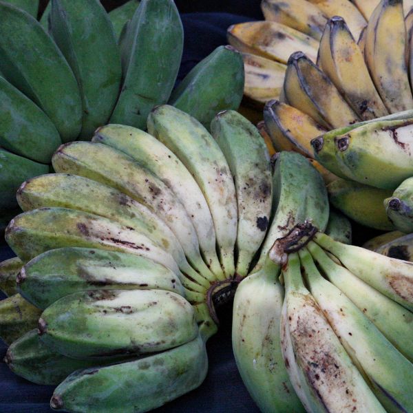 Banana (Saba)